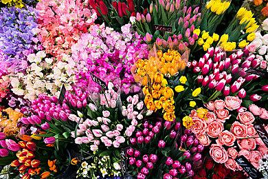 木卫四协议工作室新作《Project Birdseye》实机 发售日待定